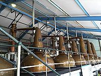 Scotch - A Golden Dream [DVD], 5