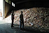 Taste the Waste [DVD], 6