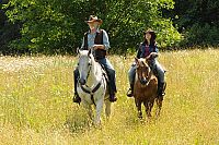 Midnight Stallion - Der König der Pferde [Blu-ray], 4