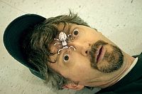 Arachnoquake [Blu-ray], 3