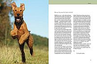 Was Hunde wirklich wollen, 2