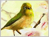 Art Academy - Zeichen und Maltechniken [Nintendo DS], 1