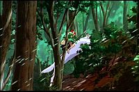 Prinzessin Mononoke [DVD], 5