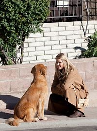 Eine tierische Bescherung [Blu-ray], 1