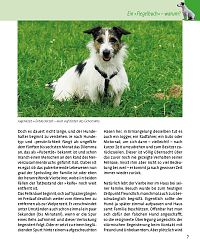 Mein Hund im Flegelalter - Die Hundeschule, 4