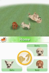 Nintendogs - Dachshund & Friends [Nintendo DS], 3