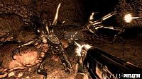 Alien vs Predator [Sony PlayStation 3], 3