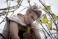 Weinberg - Im Nebel des Schweigens [Blu-ray], 5