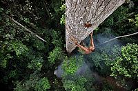 Planet des Lebens [DVD], 2