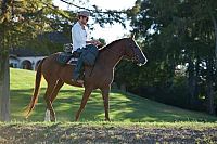 Straight A's - Jede Familie hat ein schwarzes Schaf [DVD], 4