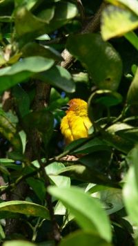 Faszination Insel - Sansibar  [DVD], 8