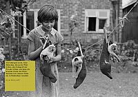 Kluge Gedanken für kluge Frauen, 3