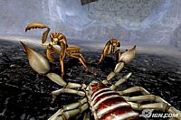 Deadly Creatures [Nintendo Wii], 2