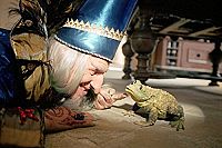 Der Räuber Hotzenplotz [DVD], 8