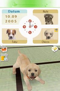 Nintendogs - Labrador & Friends [Nintendo DS], 8