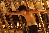 Fighting Tiger [DVD], 2