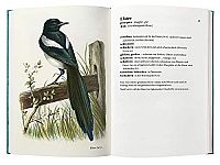 Singt der Vogel, ruft er oder schlägt er?, 2