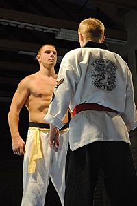 Arena of the Street Fighter [DVD], 2