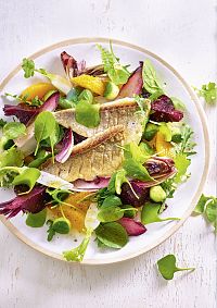 SCHLANK! und gesund mit der Doc Fleck Methode, 3