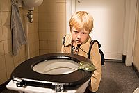 Hilfe, unser Lehrer ist ein Frosch! [DVD], 2