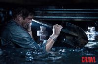 Crawl [Blu-ray], 4