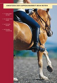 Rückentraining mit dem Kappzaum, 4