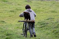 L'Aigle et l'enfant [DVD], 5