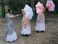 2001 Maniacs [DVD], 6