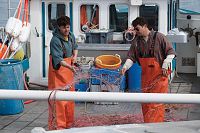 Manchester by the sea [DVD], 9