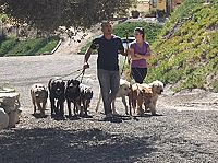 National Geographic - Notruf Hund  [DVD], 1