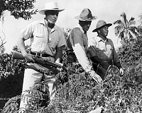 Hölle des Dschungels [DVD], 3