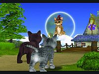 Petz - Katzenfreunde [Nintendo Wii], 2