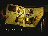 La sagesse des crocodiles [DVD], 3