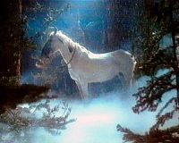 Windwalker - Das Vermächtnis des Indianers [Blu-ray], 5