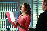 CSI: Miami - Staffel 9.1 [DVD], 3