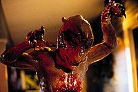 Stephen Kings Schlafwandler [DVD], 7