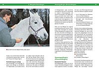 Massage - Muskel- und Gelenkprobleme erkennen und beheben, 4