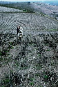 Der Engel mit den dunklen Flügeln [Blu-ray], 3