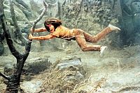 Die unendliche Geschichte & Momo [DVD], 4