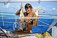 Der Paradiesjäger - Für immer ausgestiegen, 5