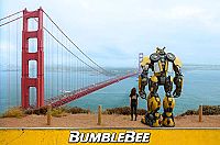 Bumblebee [DVD], 8
