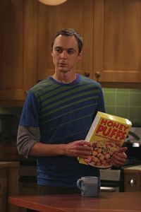 The Big Bang Theory - Staffel 1 [DVD], 3
