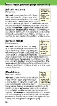 Welcher Baum ist das?, 5