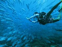 Big Mouth - Mein Freund der Walhai  [Blu-ray 3D], 9