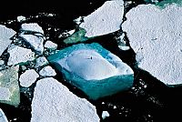 Planet Ocean [Blu-ray], 5