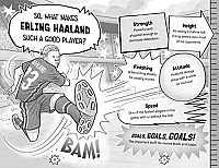 Haaland Rules, 3