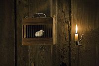 Helden von Hill 60 [Blu-ray], 3