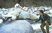 Jumanji [Blu-ray], 3