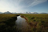 Das Universum der Fische - Lachse [Blu-ray], 2