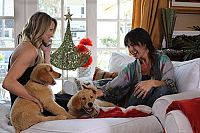 Noch eine tierische Bescherung [DVD], 6